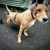 A Camera's Odyssey - Bild 27