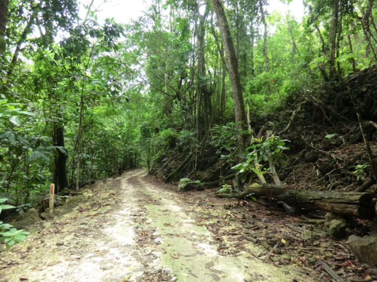 A Camera's Odyssey - Bild 29