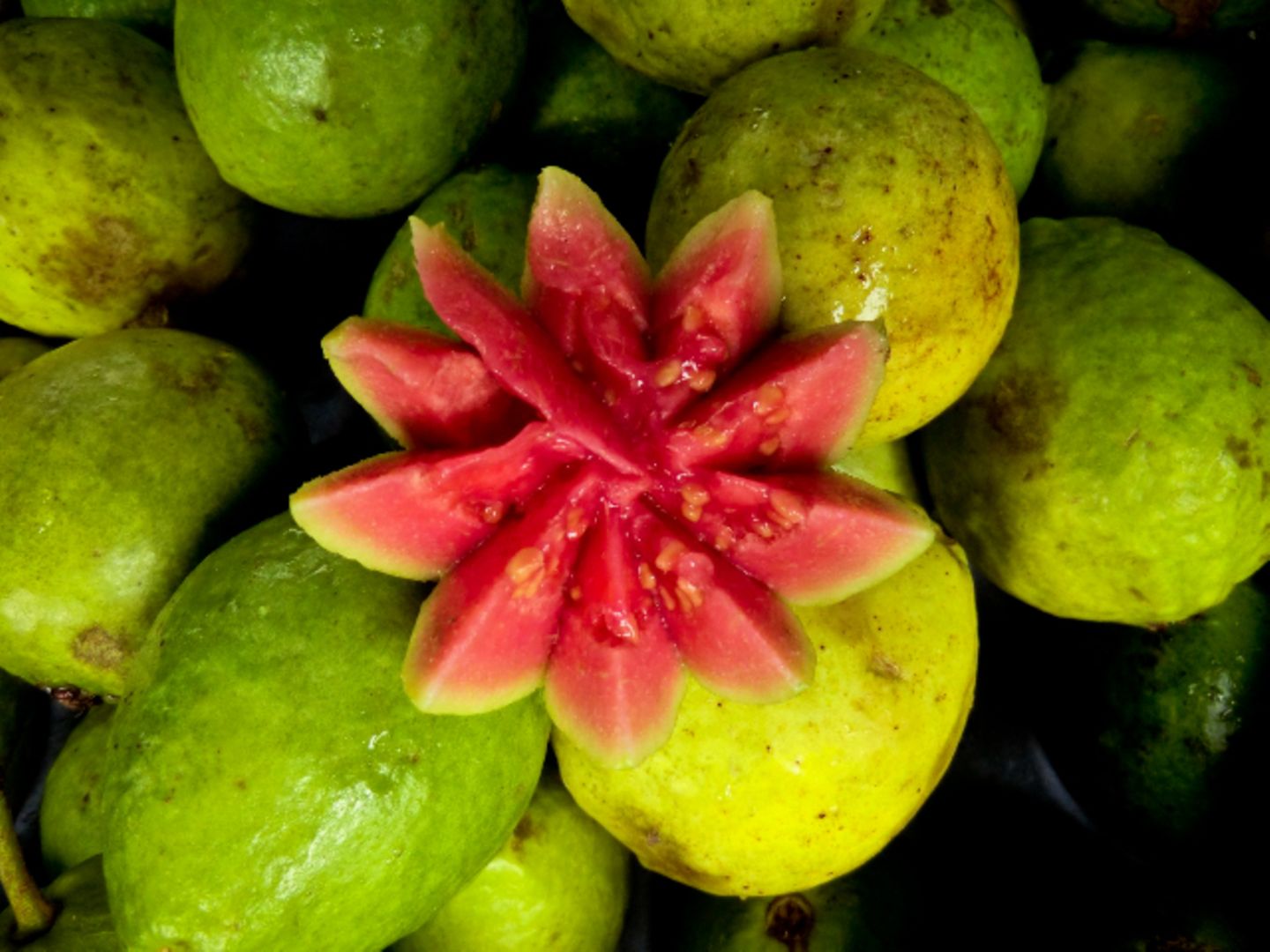 A Camera's Odyssey - Bild 32