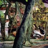 Fotogalerie: Fotogalerie: Nachtleben in Hanoi - Bild 3