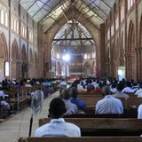 Cécile and Philippe (Lilongwe) - Bild 10