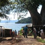 Cécile and Philippe (Lilongwe) - Bild 15