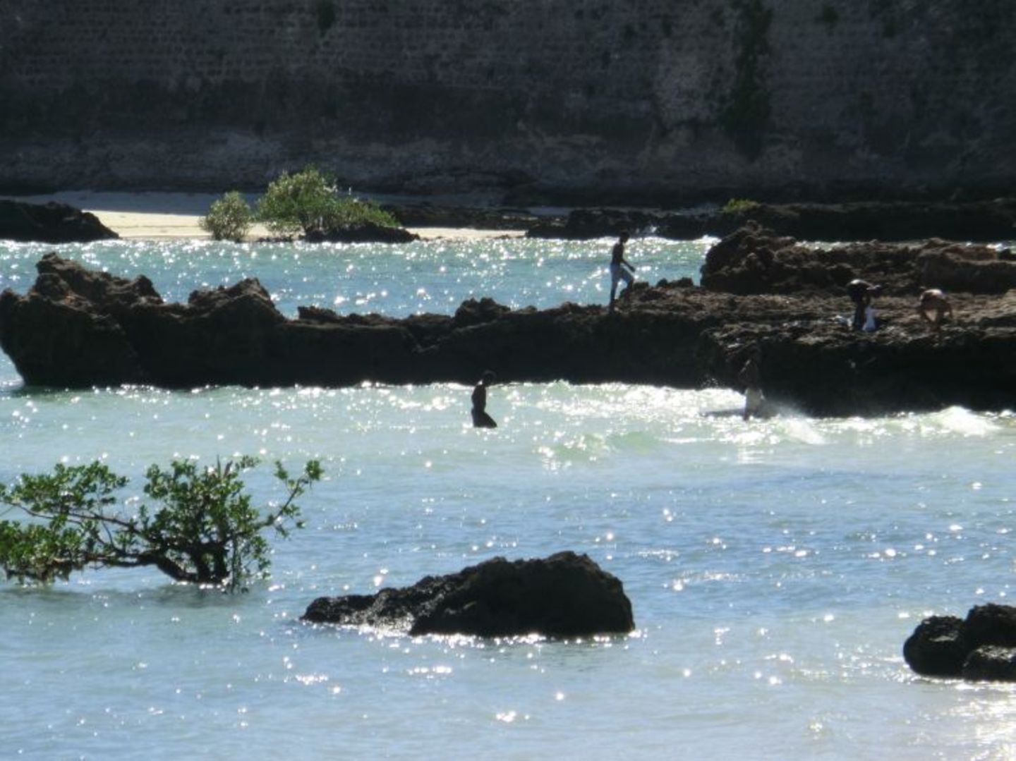 Cécile and Philippe (Lilongwe) - Bild 26