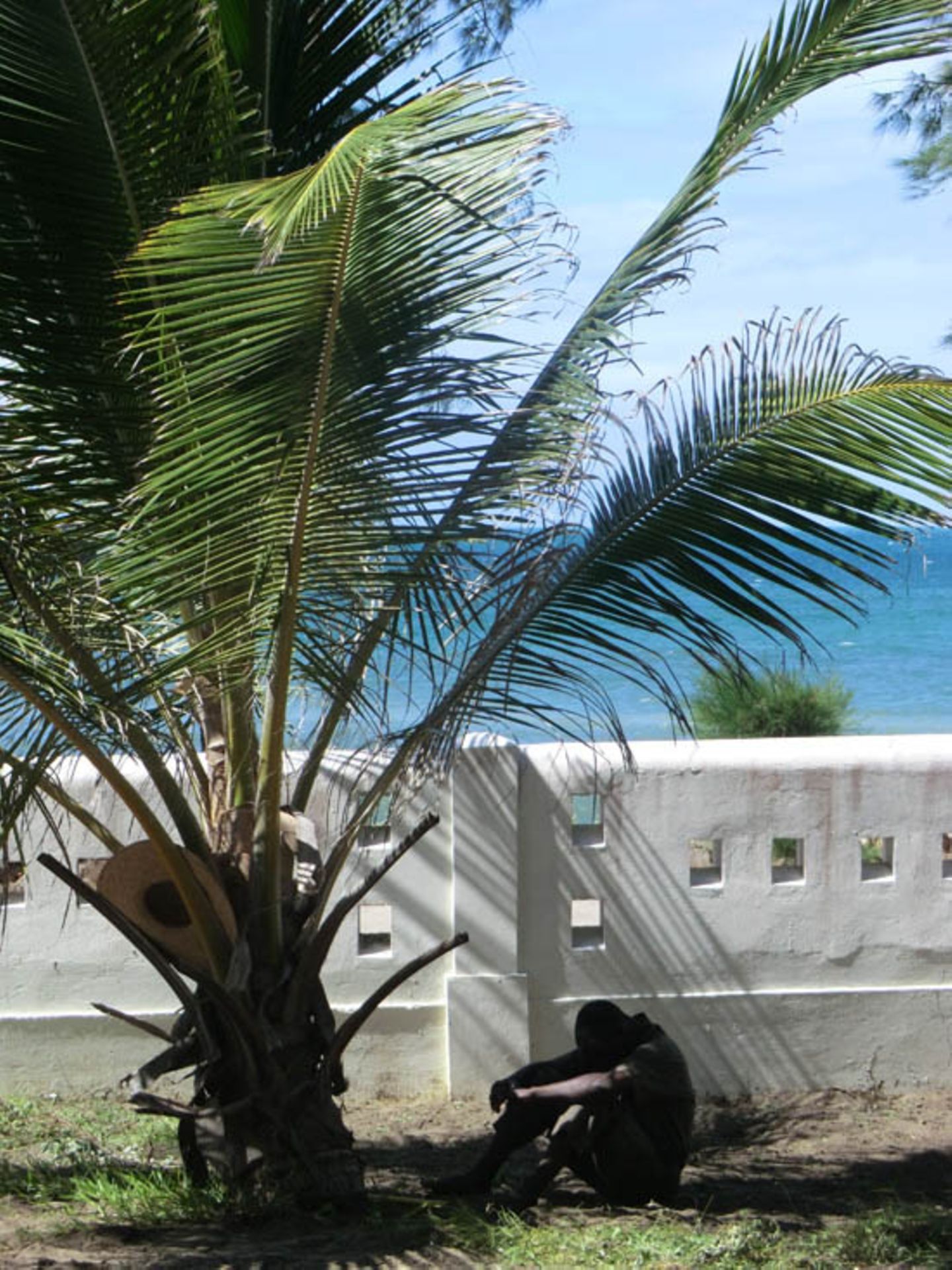 Cécile and Philippe (Lilongwe) - Bild 28