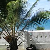 Cécile and Philippe (Lilongwe) - Bild 28