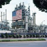 Fotogalerie: Fotogalerie: Wachstum als Selbstzerstörung