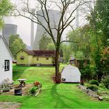 Fotogalerie: Fotogalerie: Wachstum als Selbstzerstörung - Bild 3