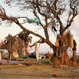 Fotogalerie: Fotogalerie: Wachstum als Selbstzerstörung - Bild 4