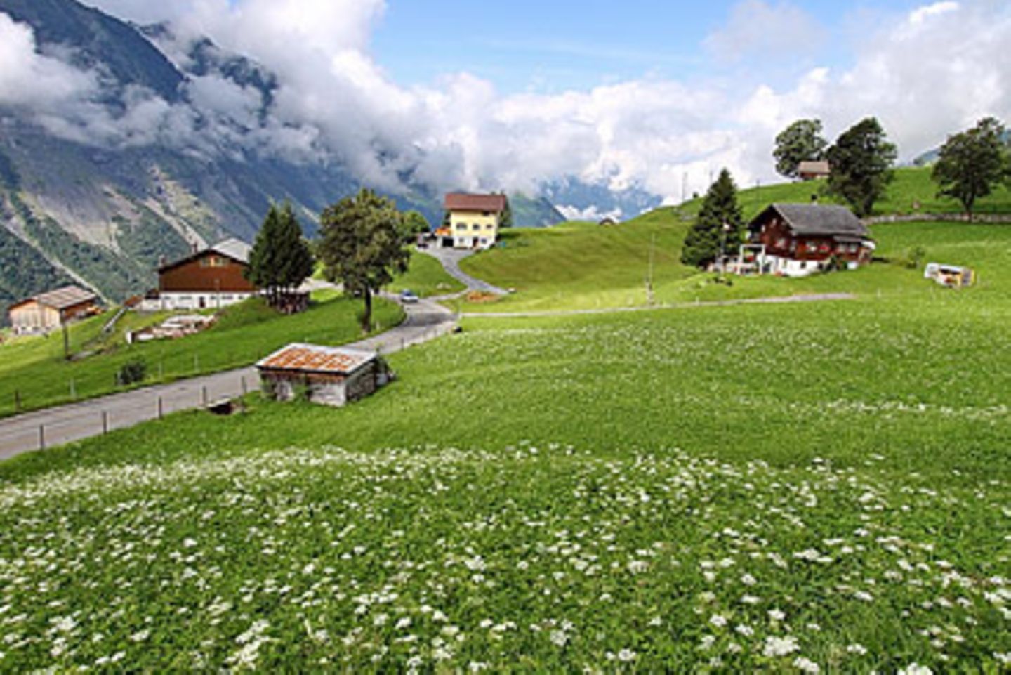 Schweizer Alpen