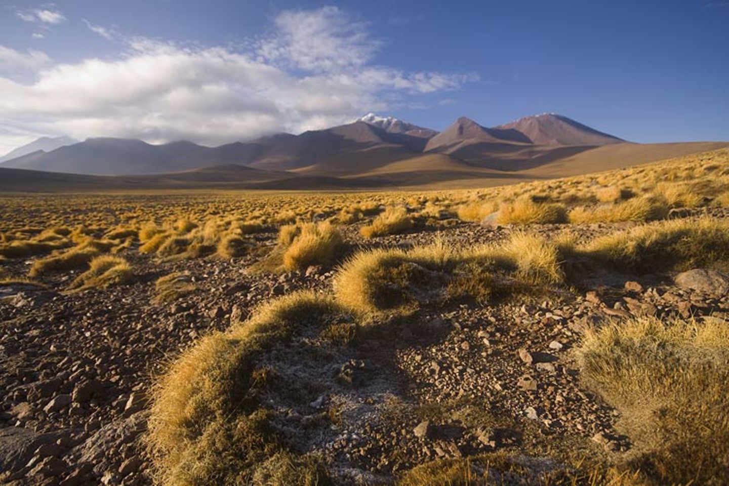 Cerro Lejia