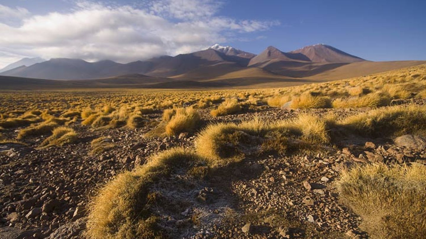 Cerro Lejia