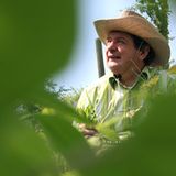 Naturtalente: Der Waldmeister - Bild 2