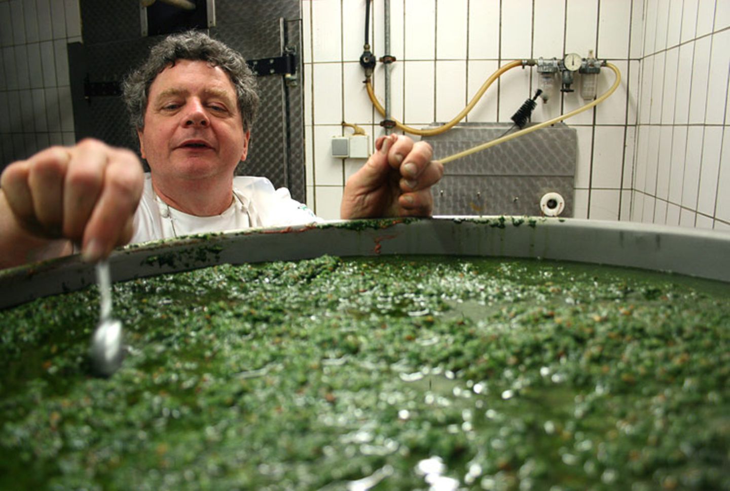 Naturtalente: Der Waldmeister - Bild 3