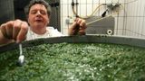 Naturtalente: Der Waldmeister - Bild 3