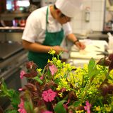 Naturtalente: Der Waldmeister - Bild 6