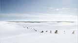 4. Umweltfotofestival Horizonte Zingst