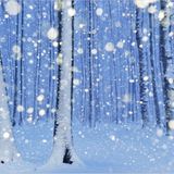 4. Umweltfotofestival Horizonte Zingst