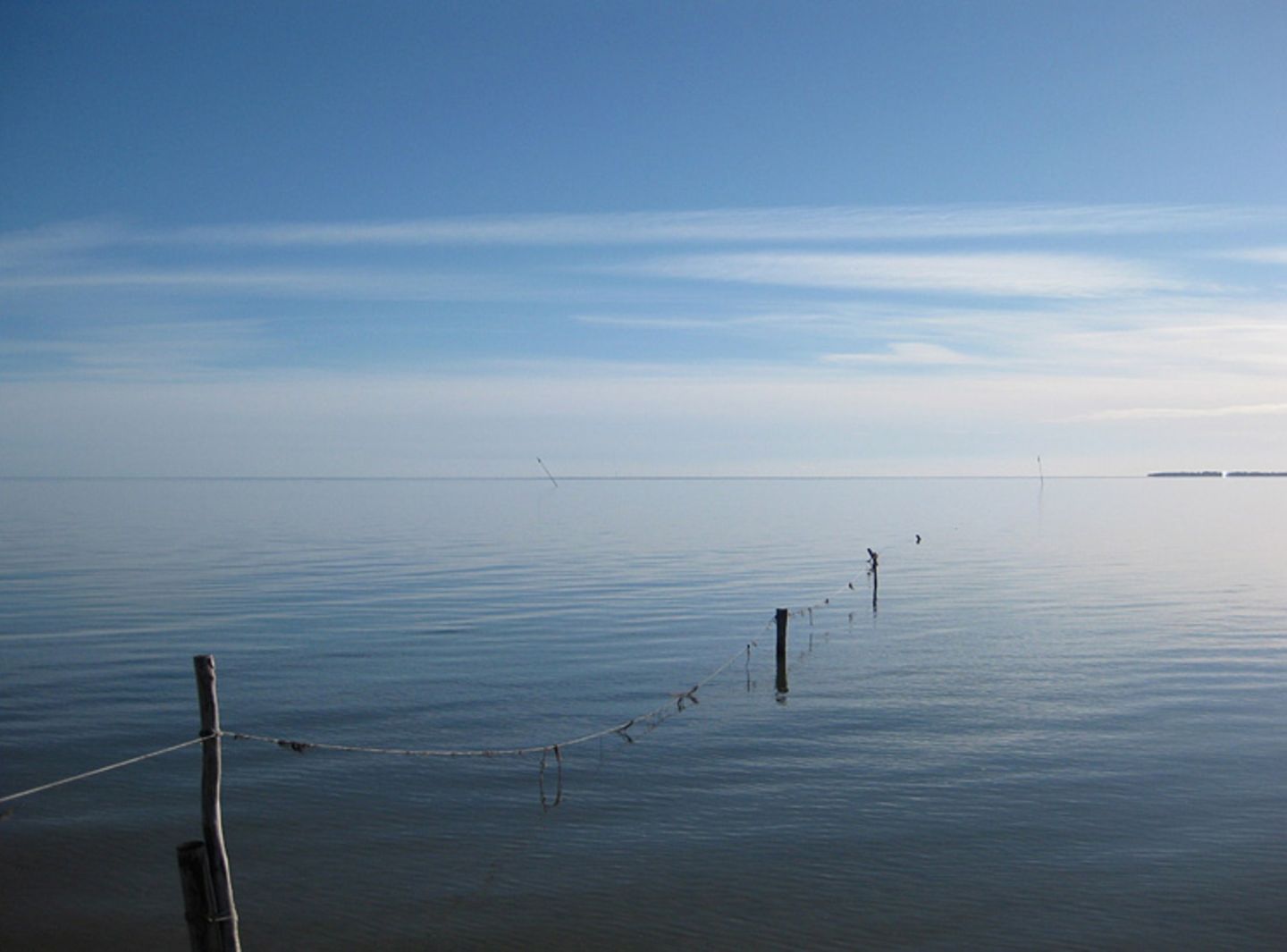 Amrum