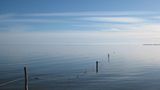 Amrum