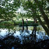 13. GEO-Tag der Artenvielfalt im Löcknitztal