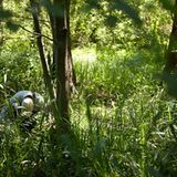 13. GEO-Tag der Artenvielfalt im Löcknitztal