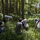 13. GEO-Tag der Artenvielfalt im Löcknitztal