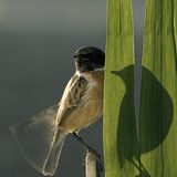 Die besten Naturfotografien 2011