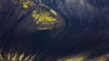 Die besten Naturfotografien 2011