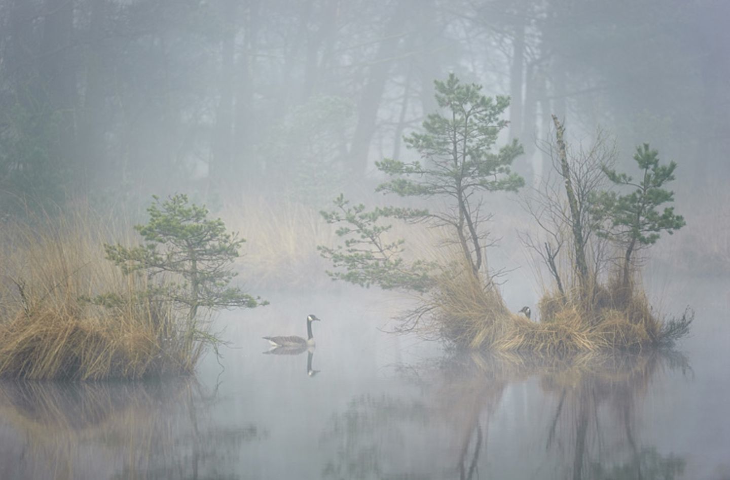Die besten Naturfotografien 2011
