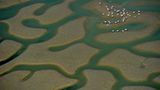 Die besten Naturfotografien 2011