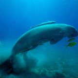 Die besten Naturfotografien 2011