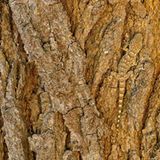 Die besten Naturfotografien 2011