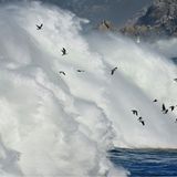 Die besten Naturfotografien 2011