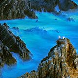 Die besten Naturfotografien 2011