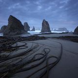 Die besten Naturfotografien 2011