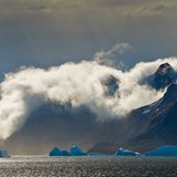 Die besten Naturfotografien 2011