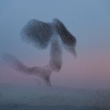 Die besten Naturfotografien 2011