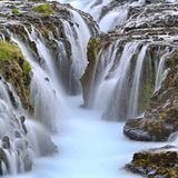 Die besten Naturfotografien 2011