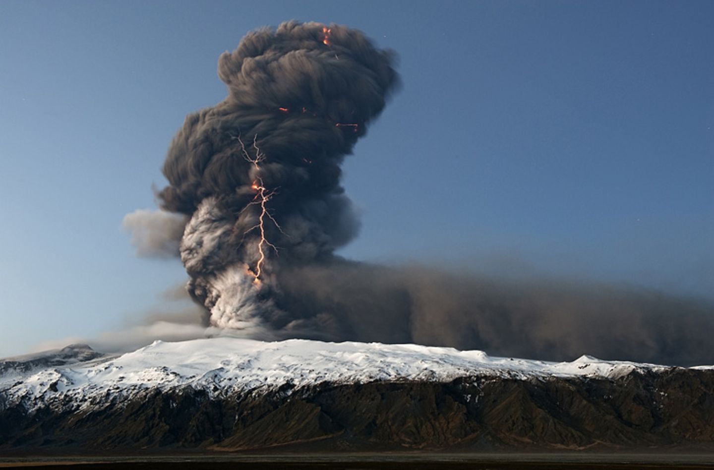 Die besten Naturfotografien 2011