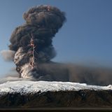 Die besten Naturfotografien 2011