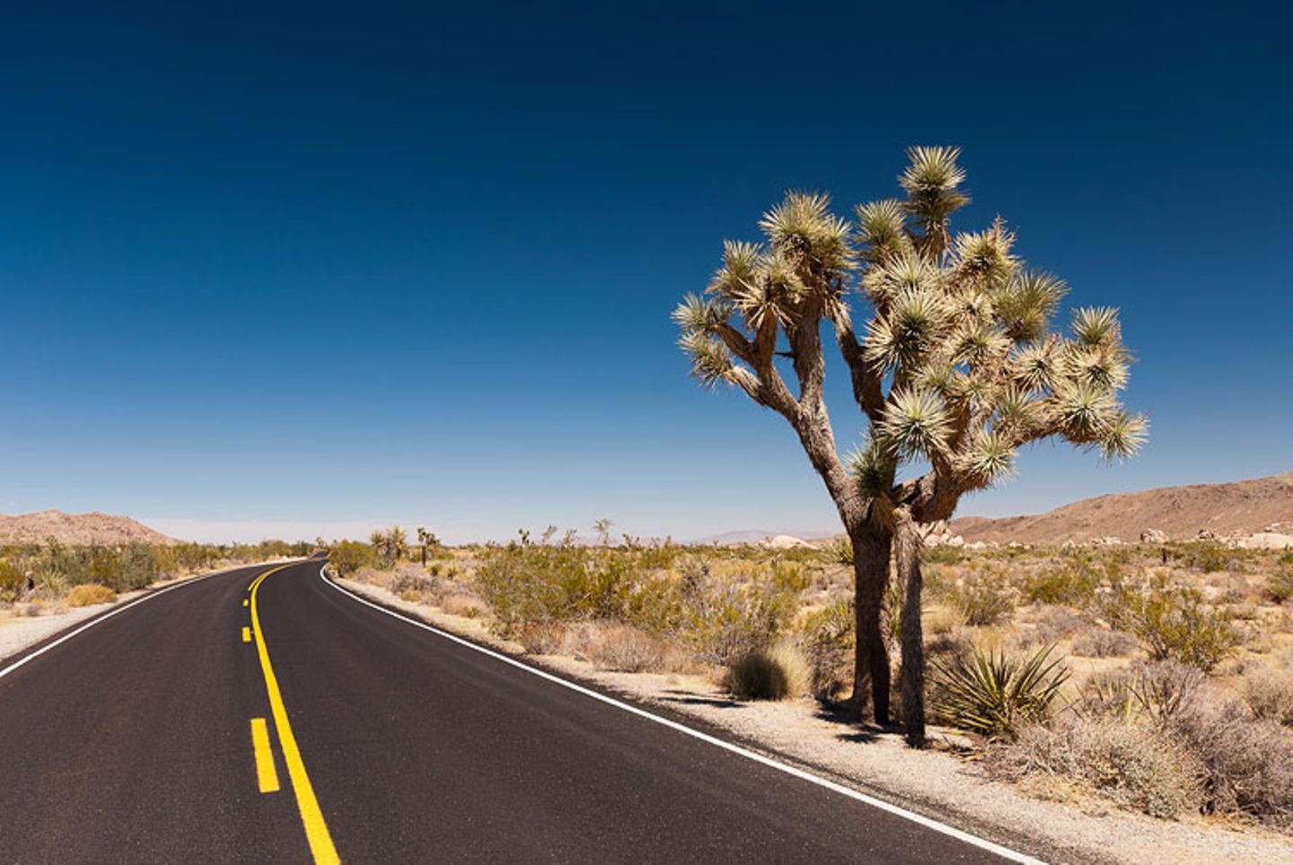 Joshua-Tree-Nationalpark