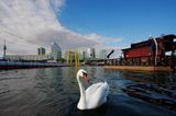 Großstadt und Natur