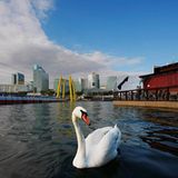 Großstadt und Natur