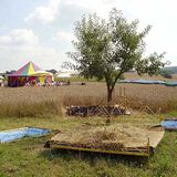 Fotogalerie: Verrückte Unterkünfte - Bild 9