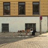 Graffiti: Graffiti - Kunst aus der Dose