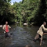 Wanderung im Regenwald - Bild 2