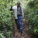 Wanderung im Regenwald - Bild 4