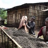 Wanderung im Regenwald - Bild 6