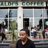 Wanderung im Regenwald - Bild 7