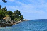 Renata (Trieste): Renata (Trieste)